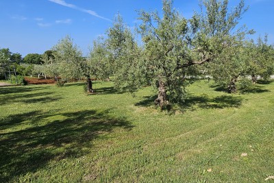 Gradađevinsko zemljište Kaštelir | Istra