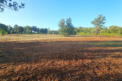 Građevinsko zemljište 4.200 m² Tar | Mirna lokacija blizu Poreča | Pogled more